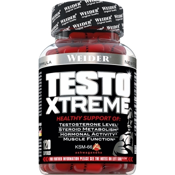 Testo Xtreme (120cps)