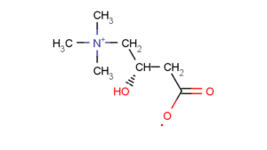 Per foto: By Blakwolf at Italian Wikipedia - Transferred from it.wikipedia to Commons., Public Domain, https://commons.wikimedia.org/w/index.php?curid=41359226 Molecola della Carnitina